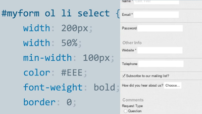 CSS: Styling Forms image